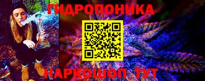 молекула духа Заволжье