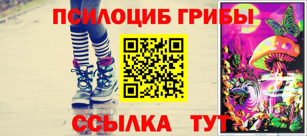 Псилоцибиновые грибы мицелий  цена   Кунгур  Псилоцибиновые грибы GOLDEN TEACHER  Вход с VPN 